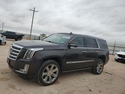 Carros dañados por granizo a la venta en subasta: 2017 Cadillac Escalade Premium Luxury