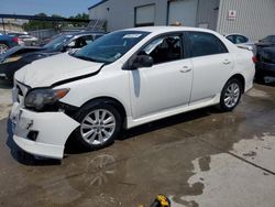 Salvage cars for sale at New Orleans, LA auction: 2009 Toyota Corolla Base