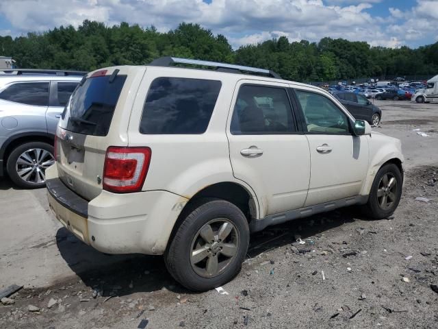 2010 Ford Escape Limited