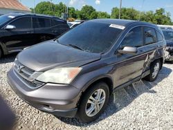 Salvage cars for sale from Copart Columbus, OH: 2010 Honda CR-V EXL