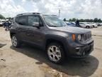 2019 Jeep Renegade Limited