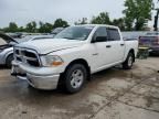 2009 Dodge RAM 1500