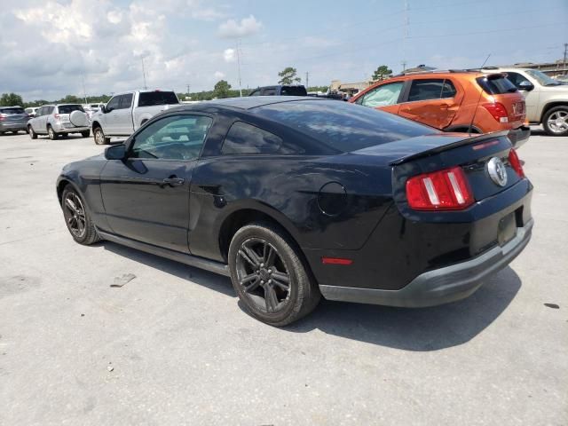 2010 Ford Mustang