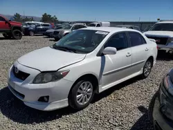 Salvage cars for sale at Reno, NV auction: 2010 Toyota Corolla Base