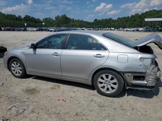 2009 Toyota Camry Hybrid