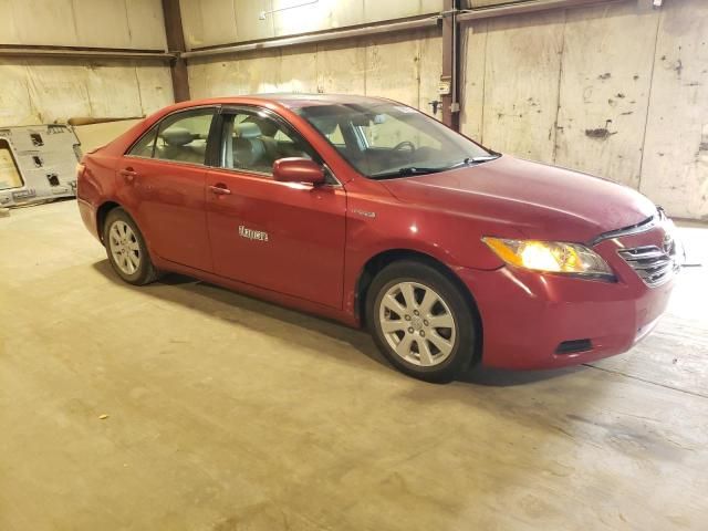 2007 Toyota Camry Hybrid