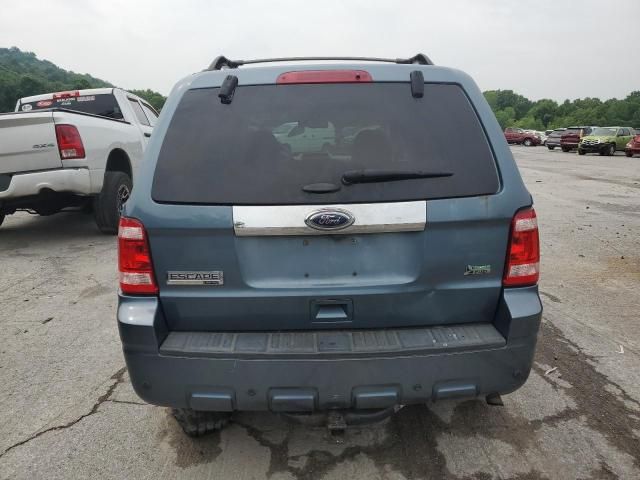 2011 Ford Escape Limited