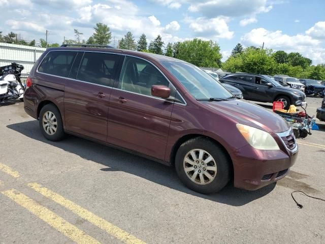 2008 Honda Odyssey EXL