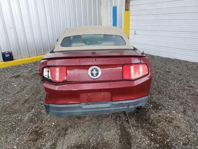 2010 Ford Mustang