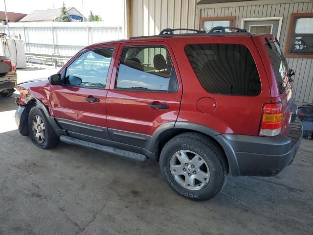 2006 Ford Escape XLT