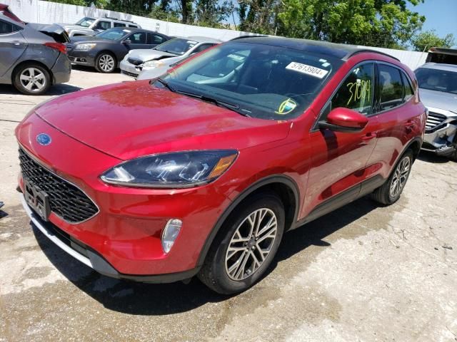 2020 Ford Escape SEL