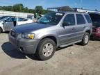 2007 Ford Escape XLT