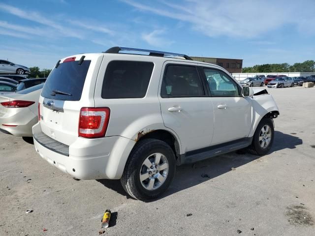 2011 Ford Escape Limited