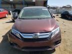 2019 Honda Odyssey EXL