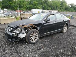 Lexus LS 460 Vehiculos salvage en venta: 2010 Lexus LS 460