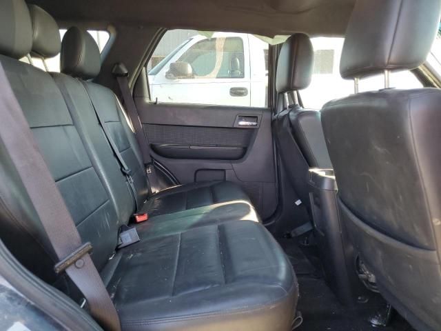 2010 Ford Escape Limited