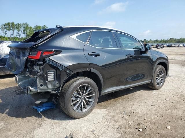 2024 Lexus NX 250 Base