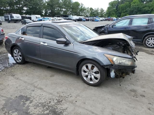 2009 Honda Accord EXL