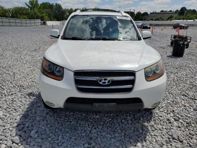 2009 Hyundai Santa FE SE