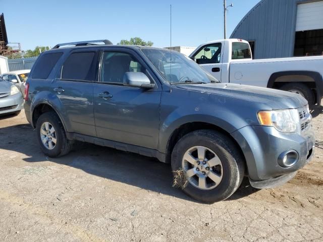 2010 Ford Escape Limited