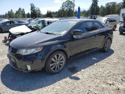 Salvage cars for sale at Graham, WA auction: 2012 KIA Forte SX