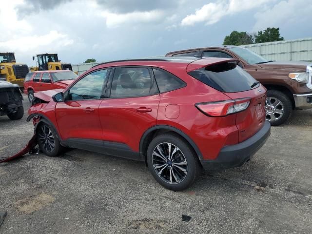 2021 Ford Escape SEL