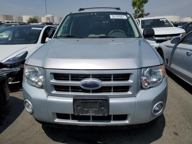 2009 Ford Escape Hybrid