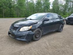 Salvage cars for sale from Copart Ontario Auction, ON: 2010 Toyota Corolla Base