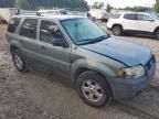 2007 Ford Escape XLT