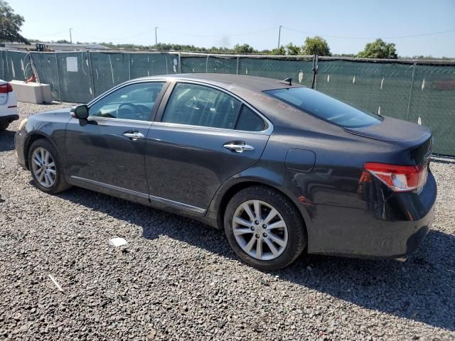 2010 Lexus ES 350