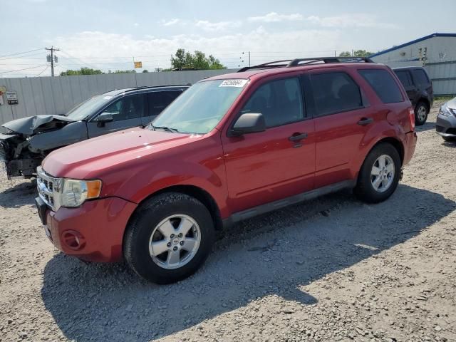 2009 Ford Escape XLT