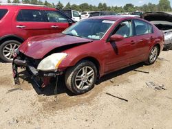 2006 Nissan Maxima SE en venta en Elgin, IL