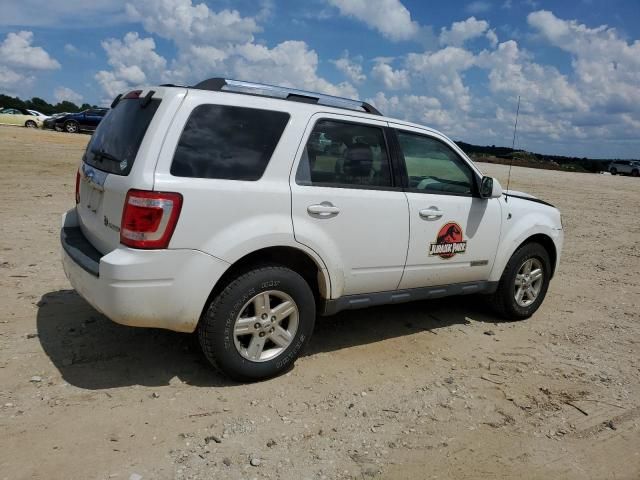 2008 Ford Escape HEV