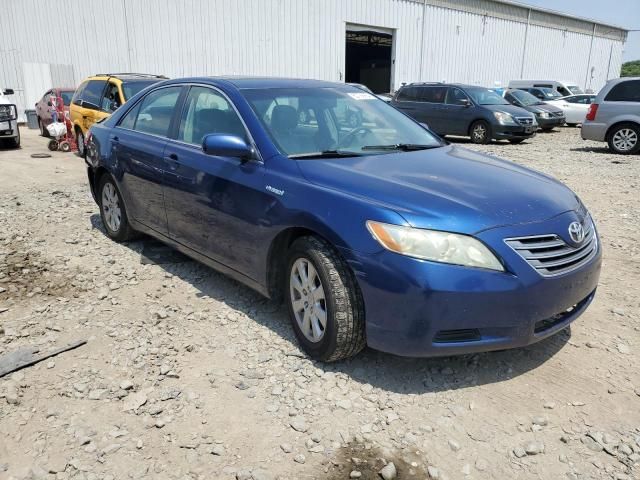 2009 Toyota Camry Hybrid