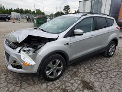 Salvage cars for sale at Cahokia Heights, IL auction: 2013 Ford Escape SE