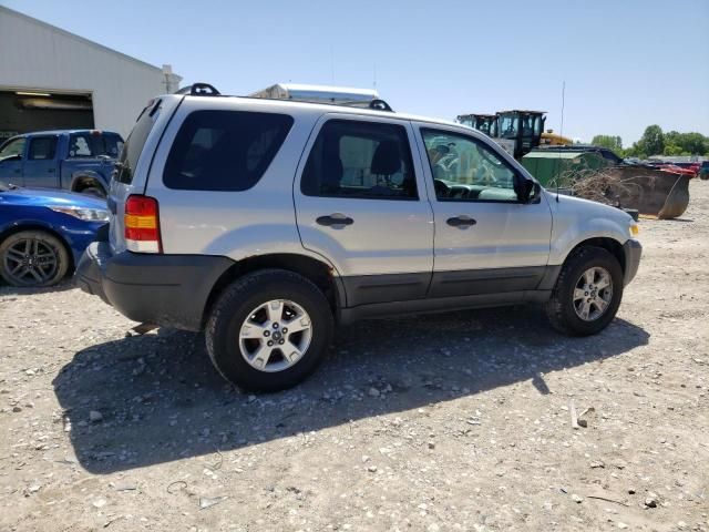 2007 Ford Escape XLT