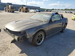 Salvage cars for sale at Gaston, SC auction: 2003 Ford Mustang