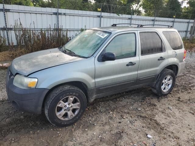 2007 Ford Escape XLT