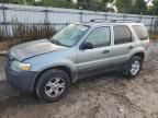 2007 Ford Escape XLT