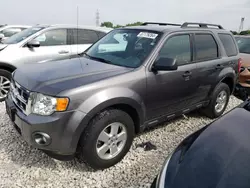 Salvage cars for sale at Franklin, WI auction: 2012 Ford Escape XLT