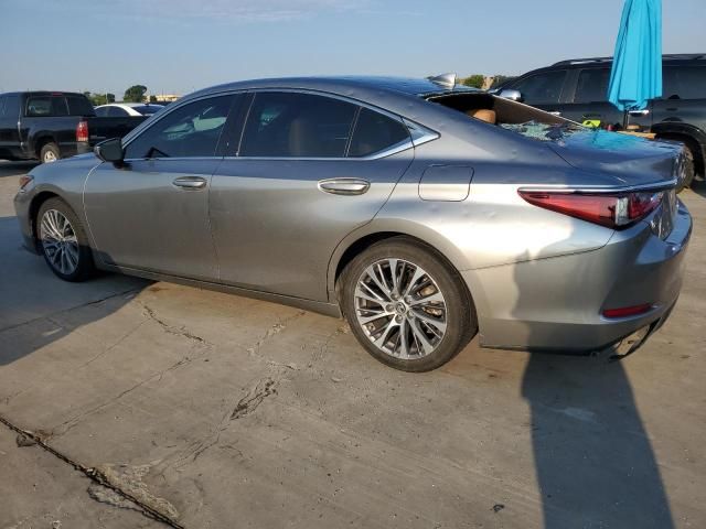 2019 Lexus ES 350