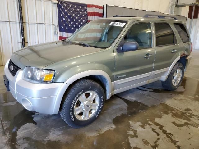 2007 Ford Escape HEV