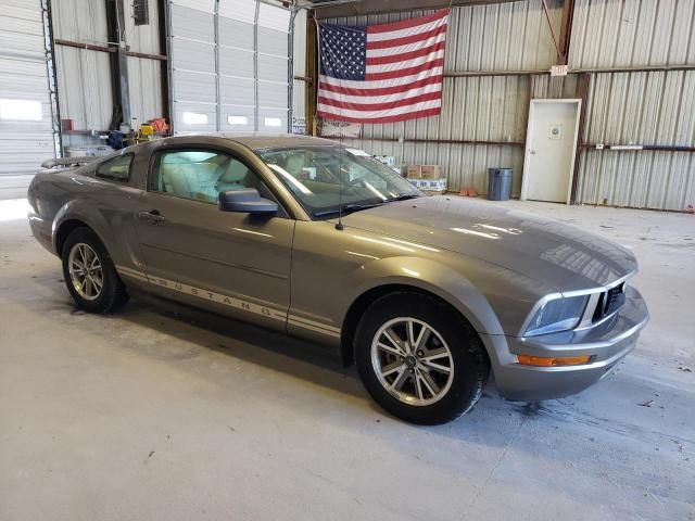 2005 Ford Mustang