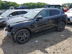 Salvage cars for sale at Windsor, NJ auction: 2018 Alfa Romeo Stelvio