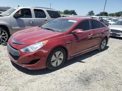 Vehiculos salvage en venta de Copart Sacramento, CA: 2013 Hyundai Sonata Hybrid