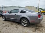 2006 Ford Mustang