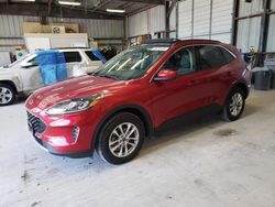 Salvage cars for sale from Copart Kansas City, KS: 2020 Ford Escape SE