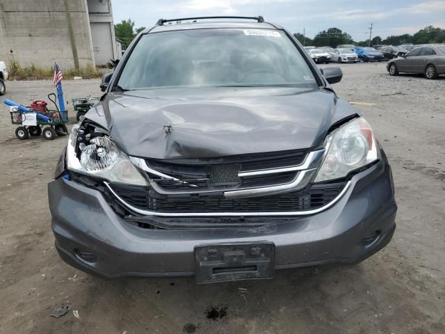 2010 Honda CR-V EXL