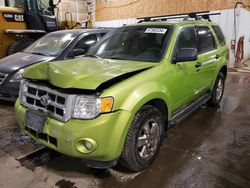 Ford Escape xlt salvage cars for sale: 2012 Ford Escape XLT