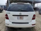 2010 Mercedes-Benz ML 350